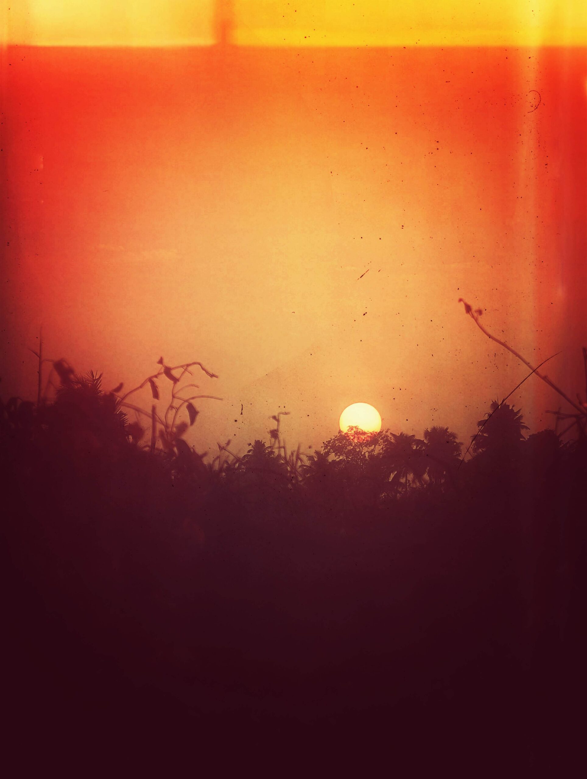 Spilling the Tea of the Day