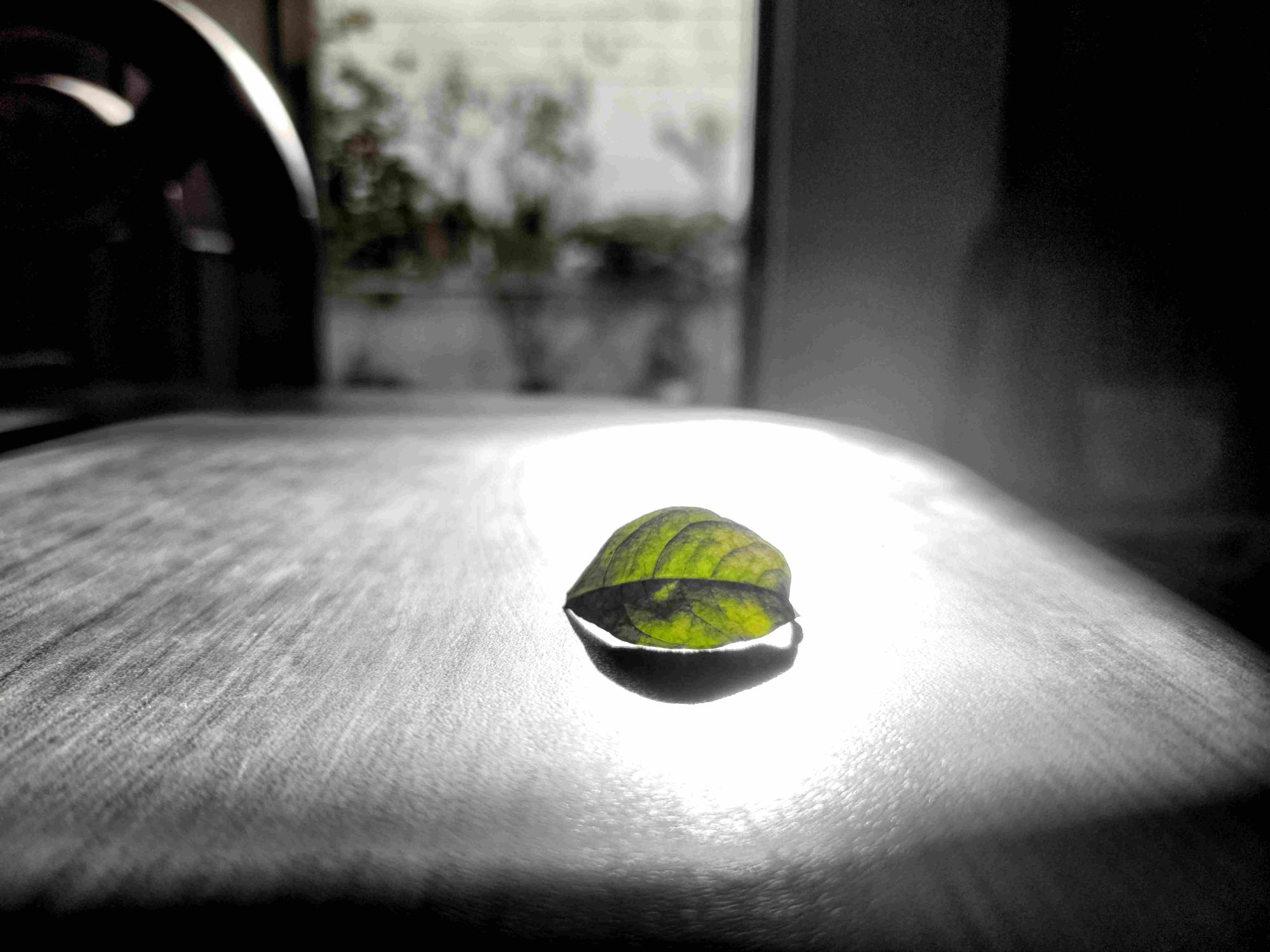 The Dreams of Others